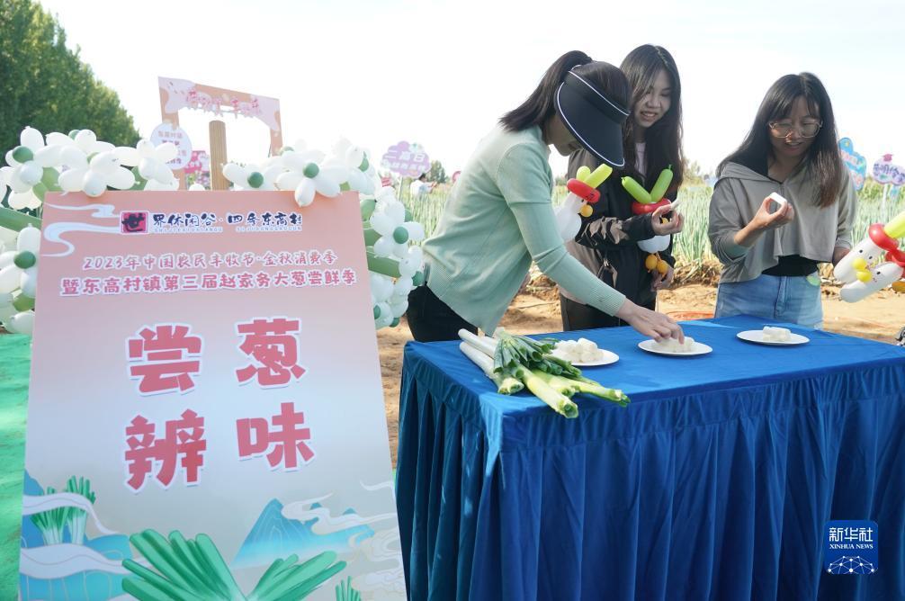 永利网址大全